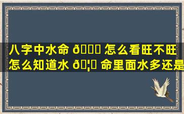 八字中水命 🐟 怎么看旺不旺（怎么知道水 🦍 命里面水多还是少）